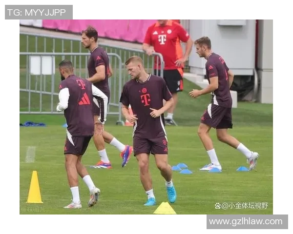 里尔布阿迪深度解析约罗成功的关键因素与潜在机会